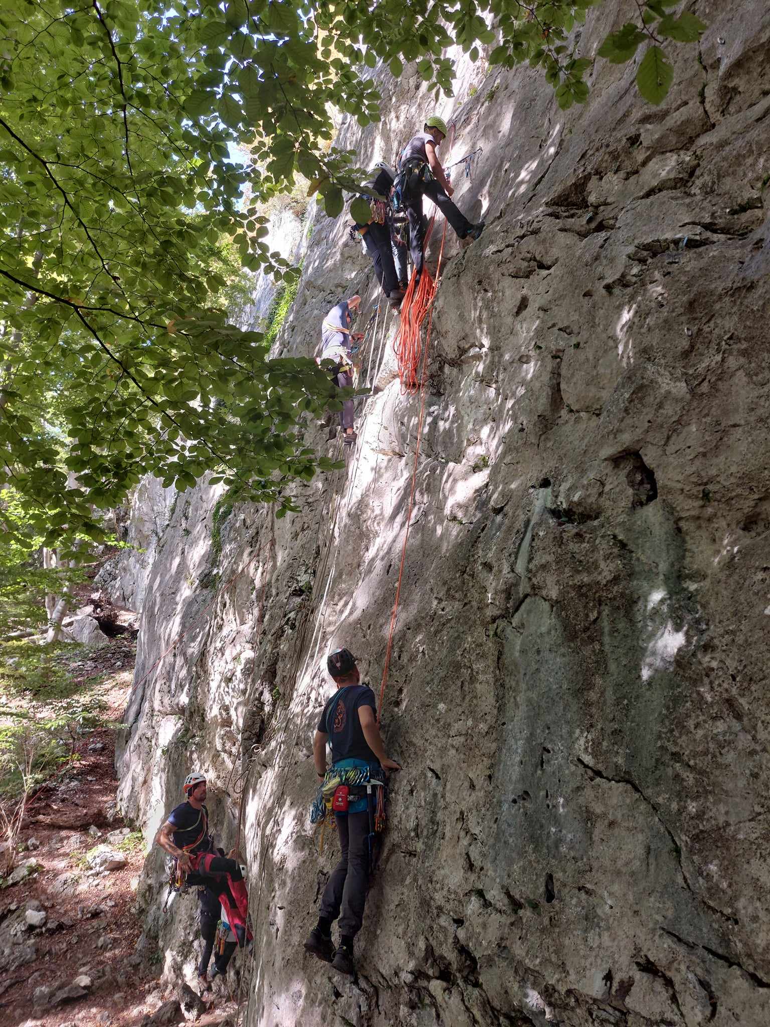 Izpiti za mlajšega in starejšega pripravnika 